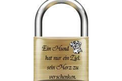 Der Tag des Hundes wird gefeiert.